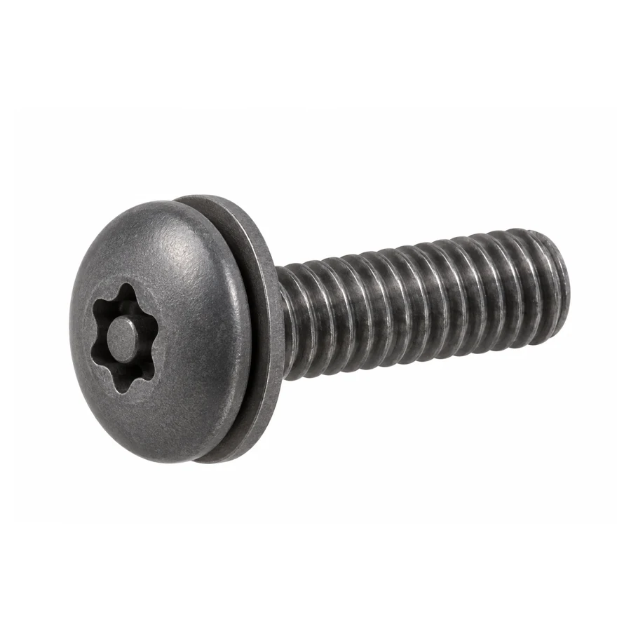 Torx security screw, disc head, with washer, M6×20